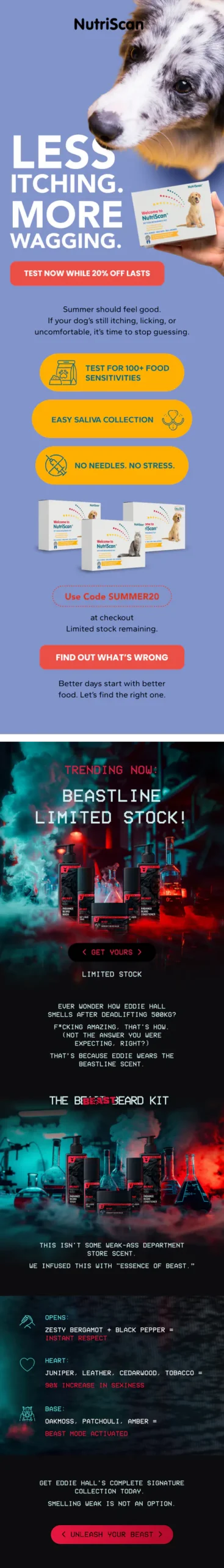 email campaign 6
